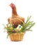 Chicken near the basket.