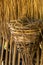 Chicken nests, leaves of brown, roof, bamboo.