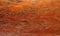 Chicken orange feathers texture
