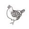Chicken. Poultry. Bird painted with ink. Label for chicken products. Farming. Livestock raising. Hand drawn.
