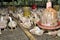 Chicken in poultry farm, White chicken farming industry,.