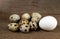 Chicken and quail eggs on the background of wood texture