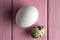 Chicken and quail eggs on a pink background.