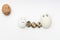 Chicken and quail eggs on a white background symbolize a family with children. Interracial marriage concept, mulatto