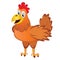 Chicken. Red Rooster symbol by Chinese calendar on white background.