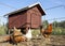 Chicken and rooster in front of their hen house