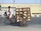 Chicken seller on his bicycle on the highway in Delhi! So many caged chickens!