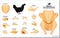 Chicken silhouette or butcher diagram or part of hen butcher concept.