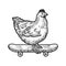 Chicken on skateboard sketch vector illustration