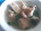 chicken soup klaten on bowl sop ayam klaten.