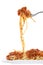 Chicken spaghetti bolognese isolated