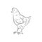 Chicken standing side view, hand drawn illustration