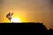 Chicken standing on silhouette of roof house with sunrise on beautiful sky background in the morning