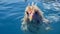 Chicken Swimming In Azure Waters: A Delightful Summer Scene