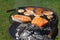 Chicken or turkey burgers and salmon fish on grill