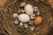 Chicken,turkey  and quail eggs in a ceramic bowl
