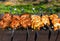 Chicken and veal kebabs barbecues on grill