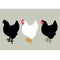 Chicken vector illustration style Flat set