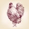 Chicken vintage hand drawn vector illustration