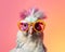 Chicken wearing sunglasses and glasses is a creative animal composition.