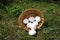 Chicken white eggs in a basket on the grass in the garden. fallen white eggs