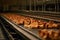 chickens on a conveyor belt in a chicken factory