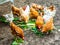 Chickens in an open chicken coop that eat healthy vegetables from their own garden