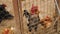 Chickens and a rooster walk behind bars in a cage.