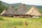 Chickens by traditional houses in open-air museum in Wologai