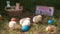 Chickens Walking by Easter Colored Eggs Outdoors