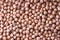 Chickpea background. top view. Close up. Also known as garbanzo