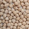 Chickpea Gram Kabuli Chana Chhole Dried White  Gram