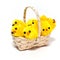 Chicks in a Basket