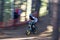 Chicksands Mountain Biker