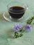 Chicory coffee. A substitute for traditional coffee, a herbal drink from the roots of chicory.