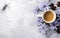 chicory flowers and herbs and coffee cup on grey snowy background