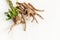 Chicory root Cichorium intybus with leaves on a white background