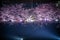 Of Chidorigafuchi going to see cherry blossoms at night