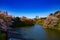 A Chidorigafuchi pond with cherry trees in Tokyo in spring wide shot