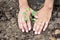 chidren Hand with green tree