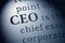 Chief executive officer