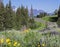 Chief Joseph Scenic Highway Crandall Pilot Peak Beartooth wildflowers