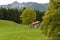 Chiemgau, Bavaria, Germany. German Alpine countryside landscape.