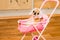 Chihuahua in baby costume in toy pram