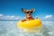 Chihuahua Chic: A Playful Dog Enjoying The Sun and Sea on a Vibrant Beach Float - Generative AI