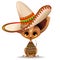 Chihuahua Cute Tiny Puppy with Mexican Sombrero Vector Illustration