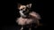 Chihuahua Dog In A Ballet Outfit Wearing On Black Background. Generative AI