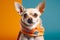 chihuahua dog in bright scarf. Accessories for pets. Dog clothes. Pet Supplies. Generative AI