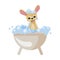 chihuahua dog cartoon bathing