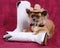 Chihuahua dog with cowboy hat & boots